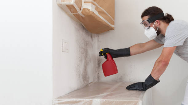 Professional Mold Testing technician working in Teterboro, NJ