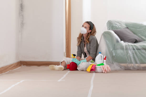 Reliable Mold Cleanup contractor in Teterboro, NJ by Cheap Mold Removal
